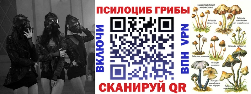 KRAKEN tor  Новоульяновск  Галлюциногенные грибы мухоморы 